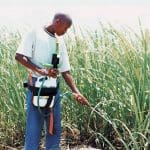 Sprayer wand
