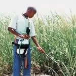 Sprayer wand