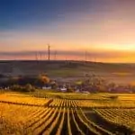 agriculture