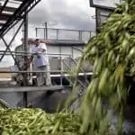 goat throat for food and beverage