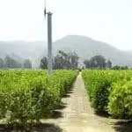 Chemical Pumps for Agriculture